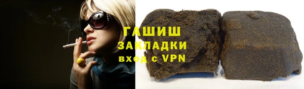 прущие грибы Белокуриха