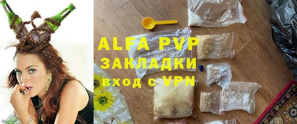 прущие грибы Белокуриха