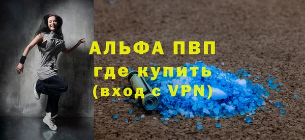 прущие грибы Белокуриха
