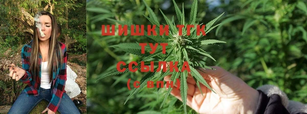 ешки Белоозёрский