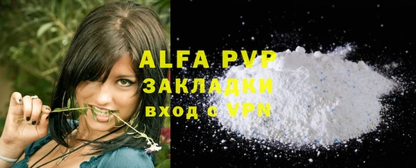 прущие грибы Белокуриха