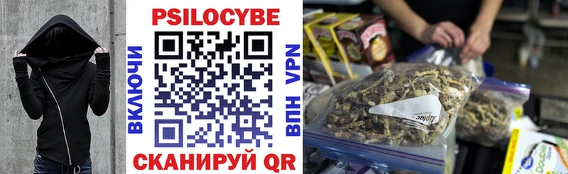 мега ССЫЛКА Курильск Галлюциногенные грибы Psilocybine cubensis
